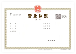 营业执照(正副本)